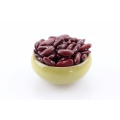 HPS Red Vigna Bean Marktpreis Red Bean Adzuki Bean